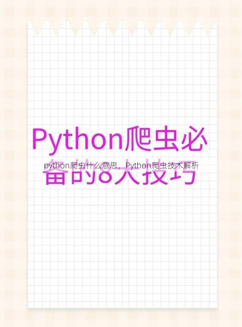 python爬虫什么意思