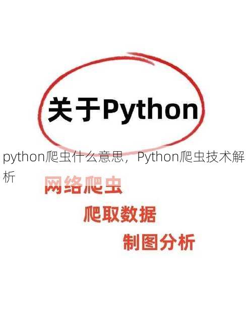 python爬虫什么意思