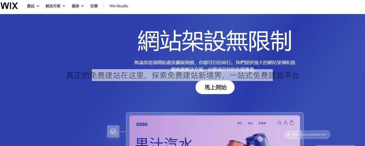 真正的免费建站在这里