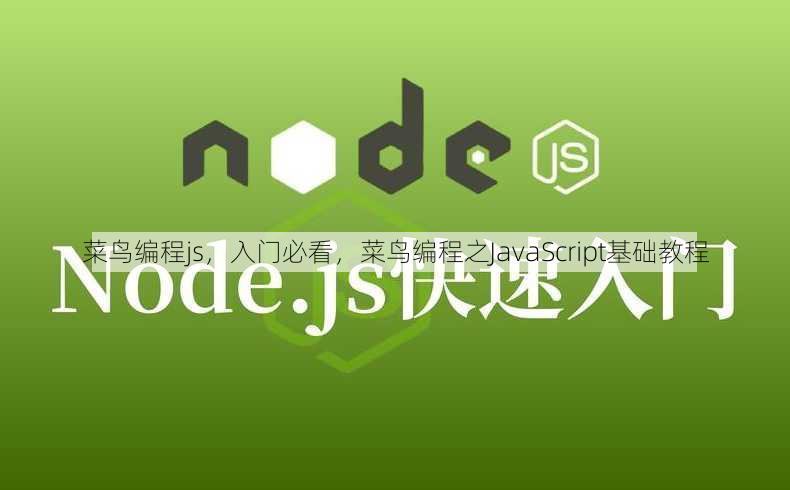 菜鸟编程js