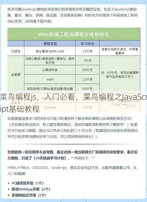 菜鸟编程js