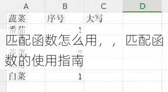 匹配函数怎么用