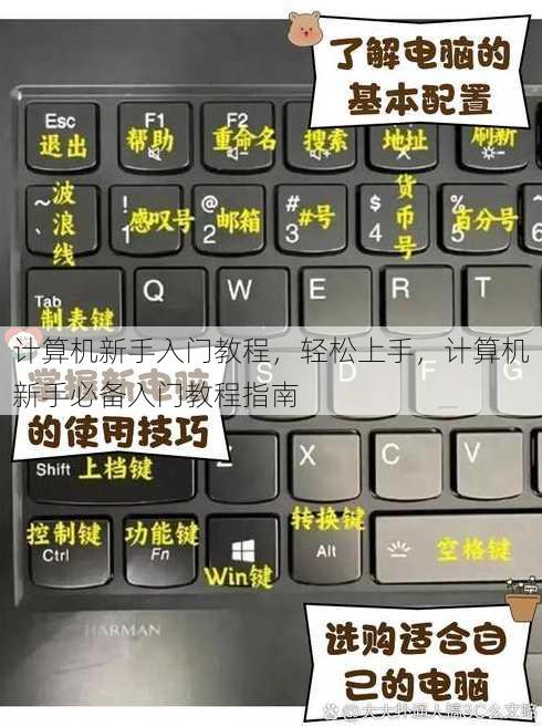 计算机新手入门教程