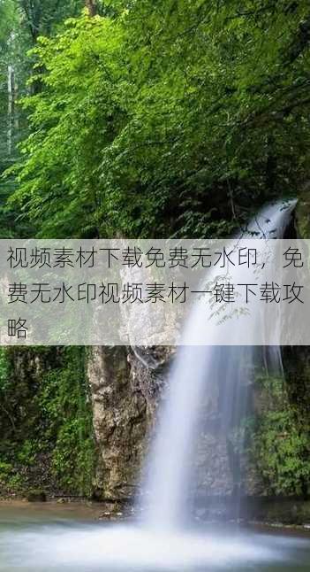 视频素材下载免费无水印