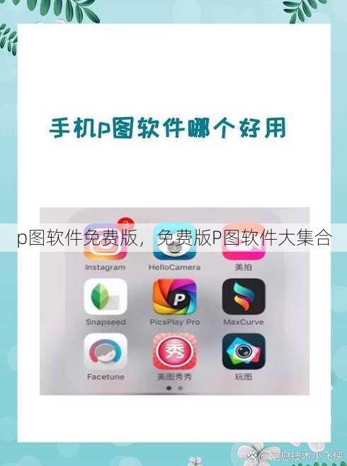 p图软件免费版