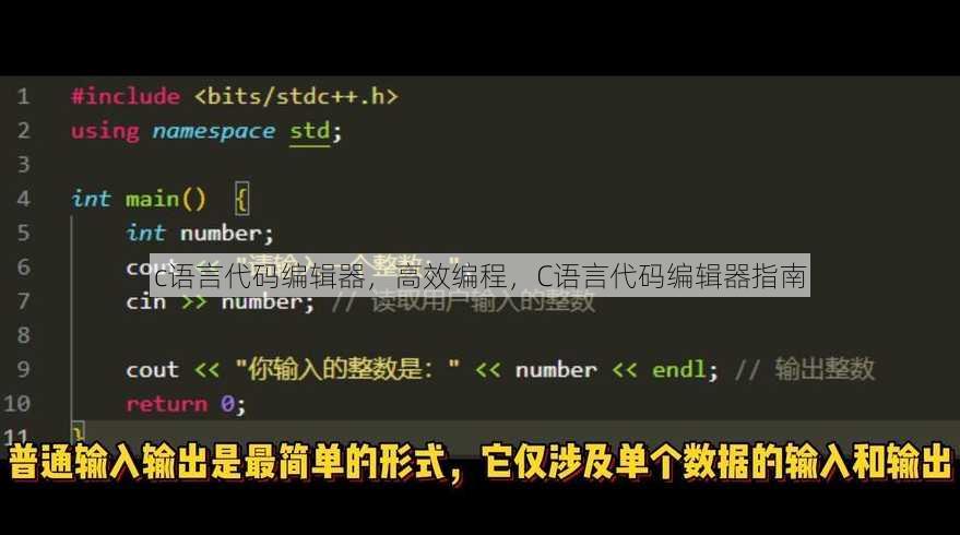 c语言代码编辑器