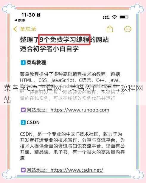 菜鸟学c语言官网