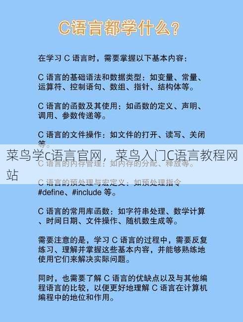 菜鸟学c语言官网