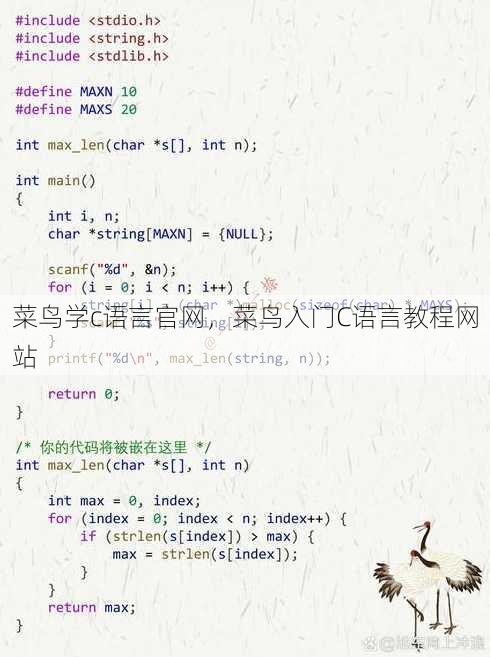 菜鸟学c语言官网