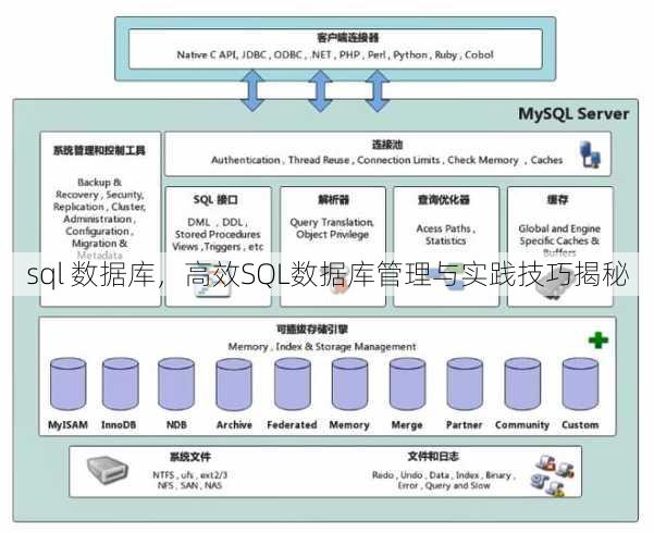 sql 数据库