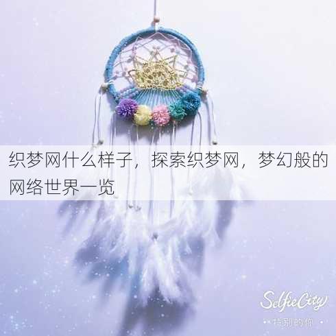织梦网什么样子