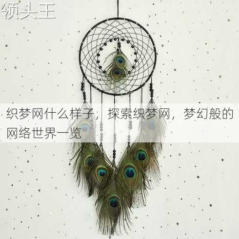 织梦网什么样子