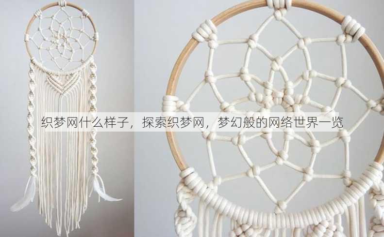 织梦网什么样子