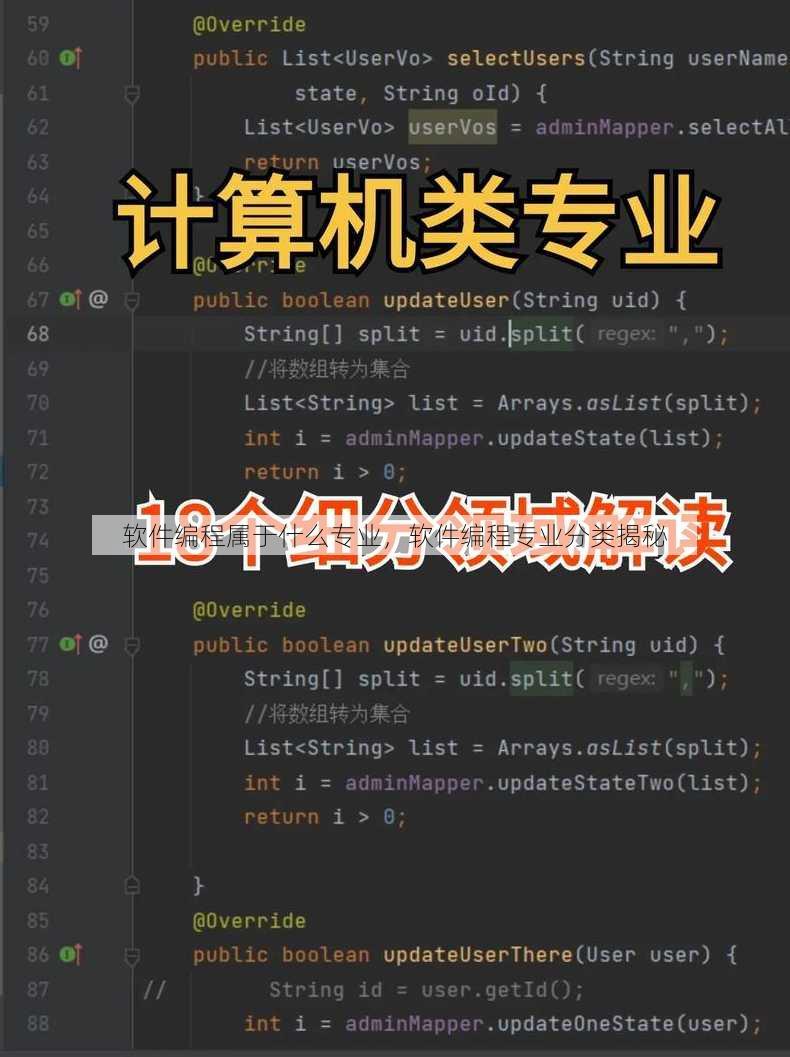 软件编程属于什么专业