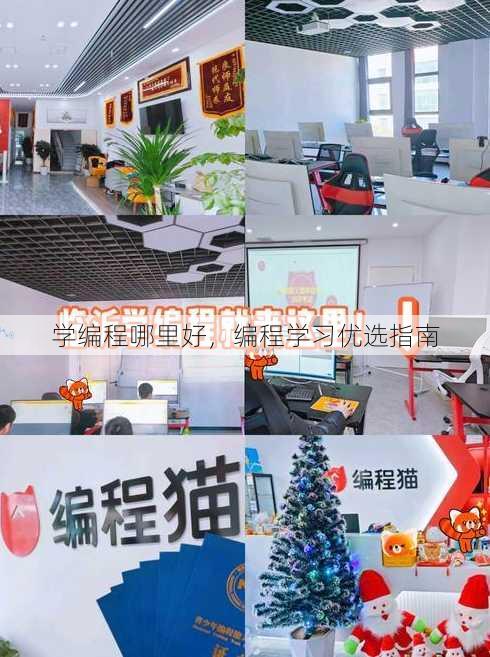 学编程哪里好
