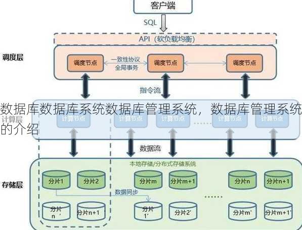 数据库数据库系统数据库管理系统