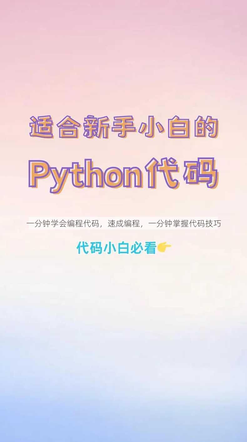 一分钟学会编程代码