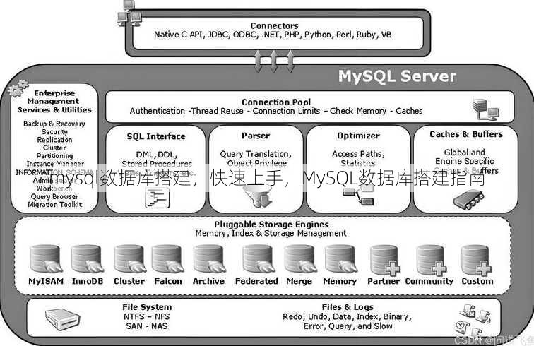 mysql数据库搭建