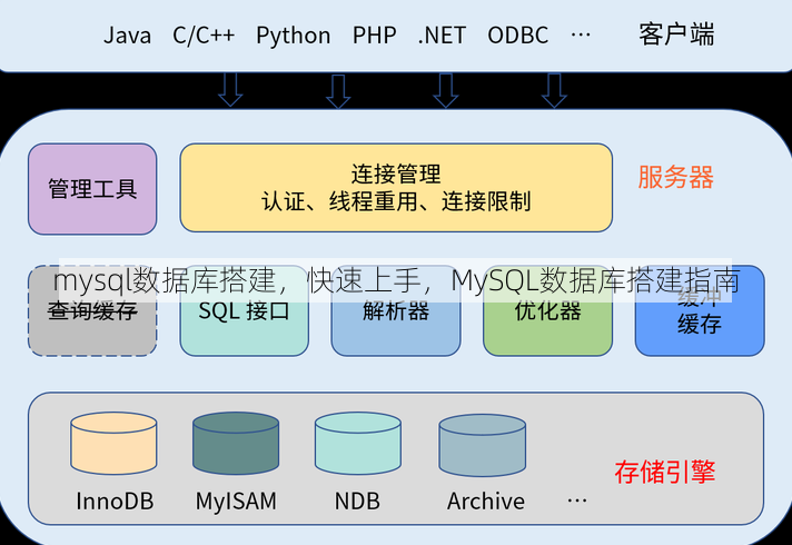 mysql数据库搭建