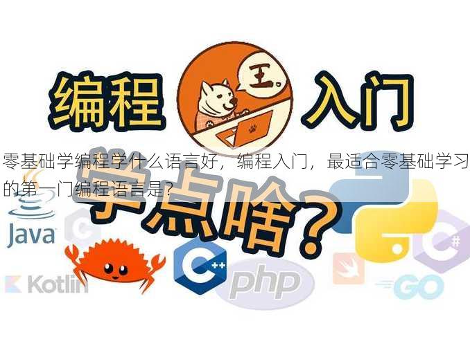 零基础学编程学什么语言好