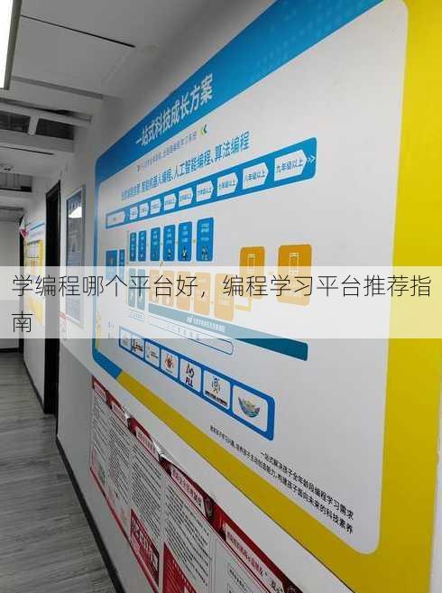 学编程哪个平台好