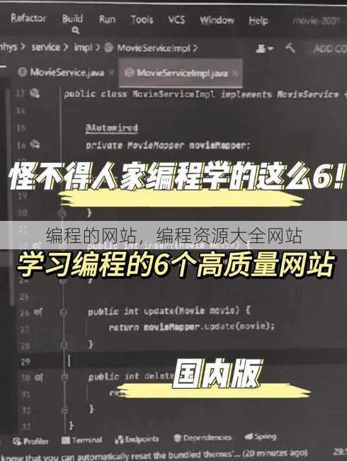 编程的网站