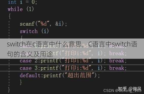 switch在c语言中什么意思