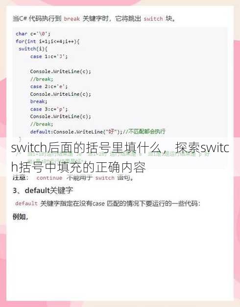 switch后面的括号里填什么