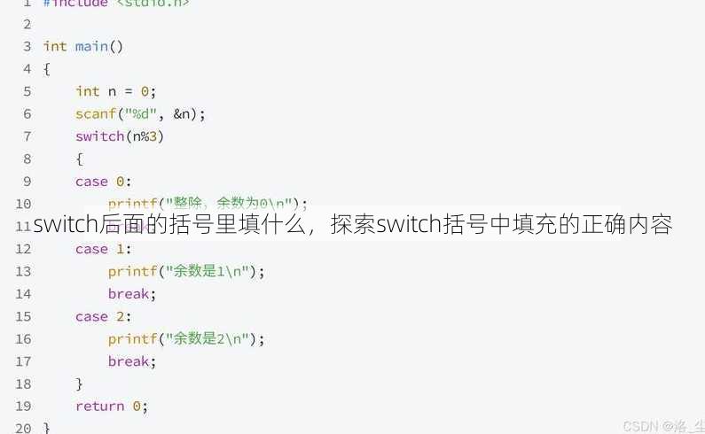 switch后面的括号里填什么