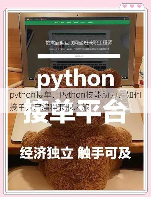 python接单