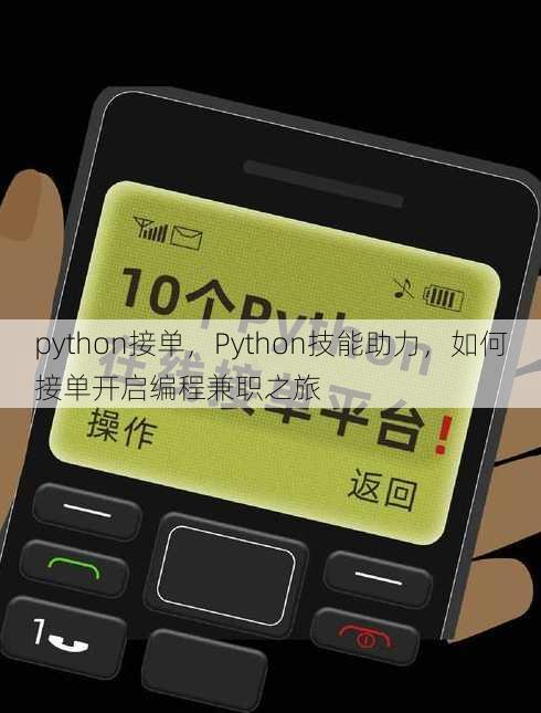 python接单