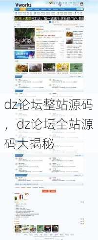 dz论坛整站源码