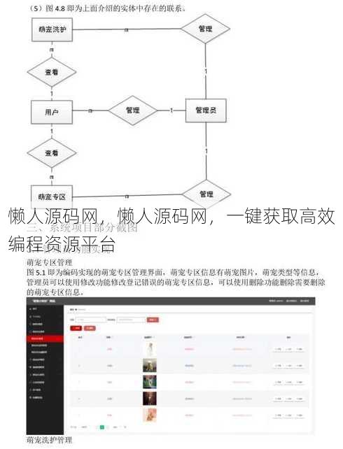 懒人源码网
