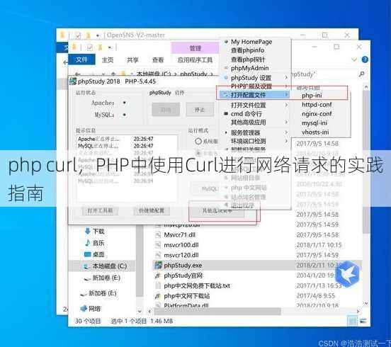 php curl