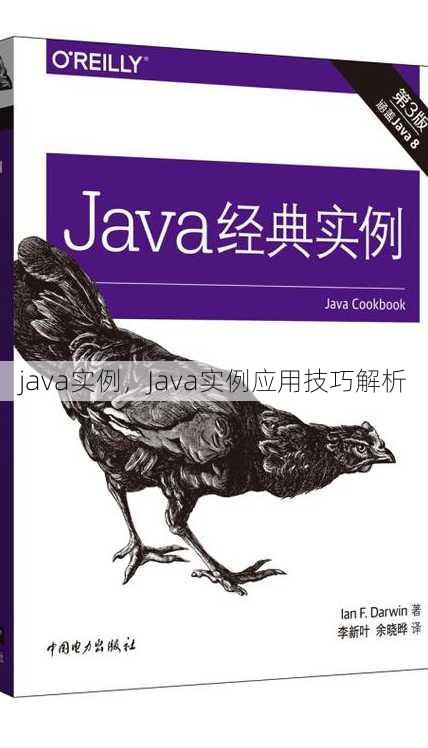 java实例