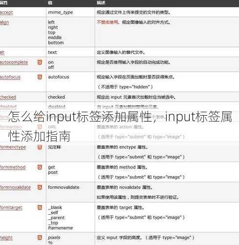 怎么给input标签添加属性