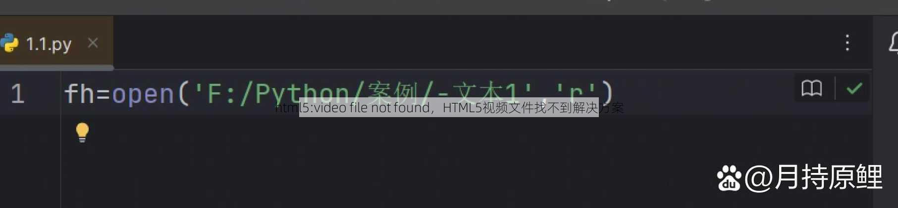 html5:video file not found