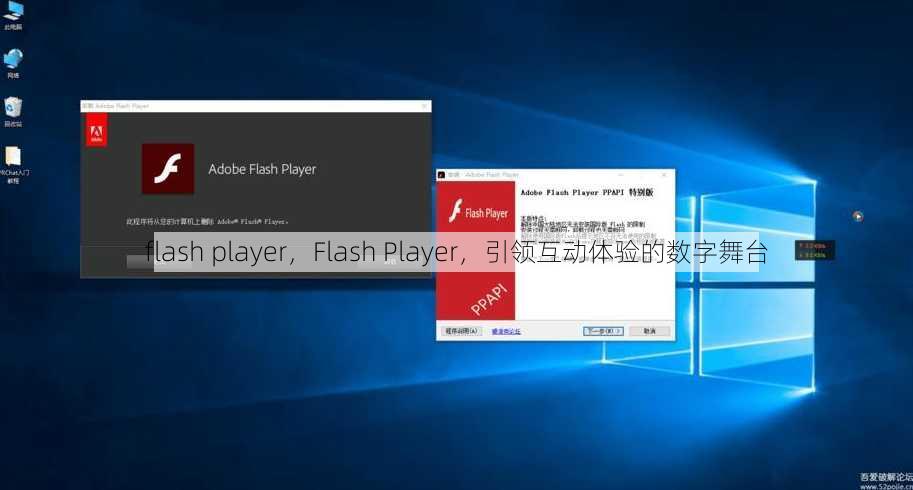 flash player