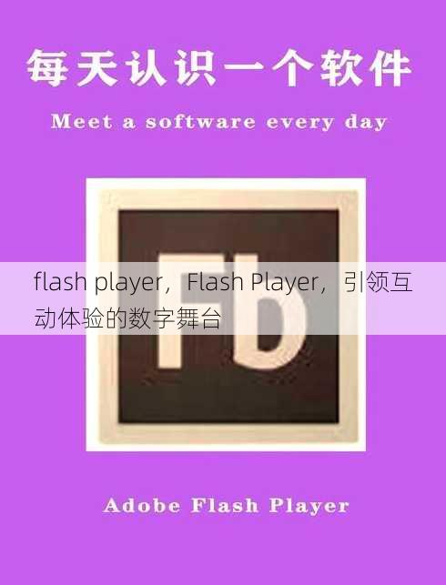 flash player