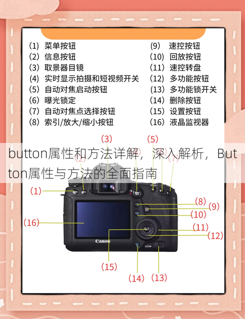 button属性和方法详解