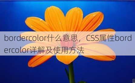 bordercolor什么意思