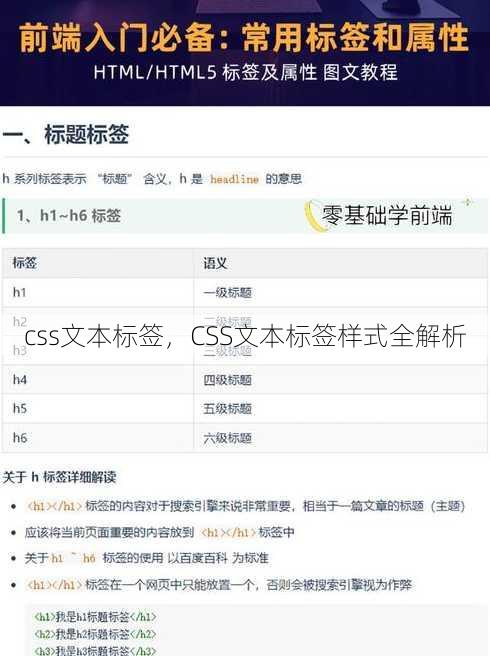 css文本标签