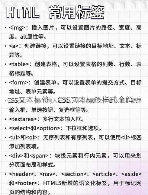 css文本标签