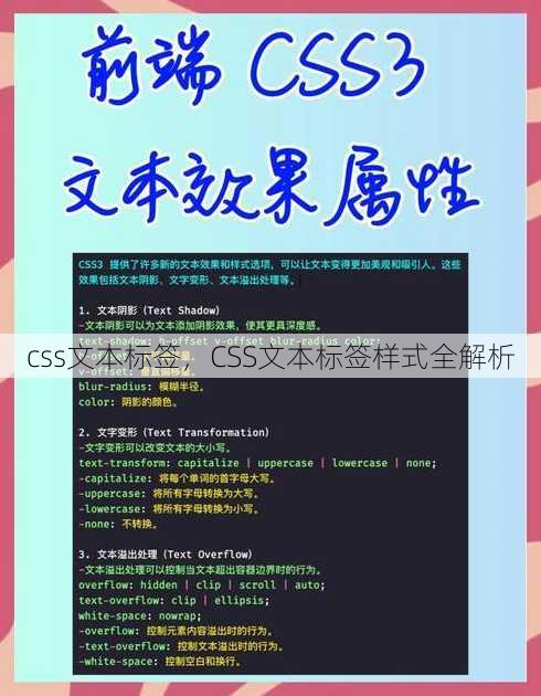 css文本标签