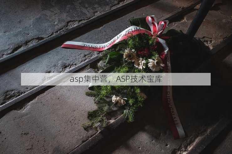 asp集中营