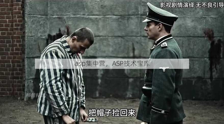 asp集中营