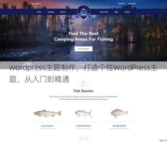 wordpress主题制作