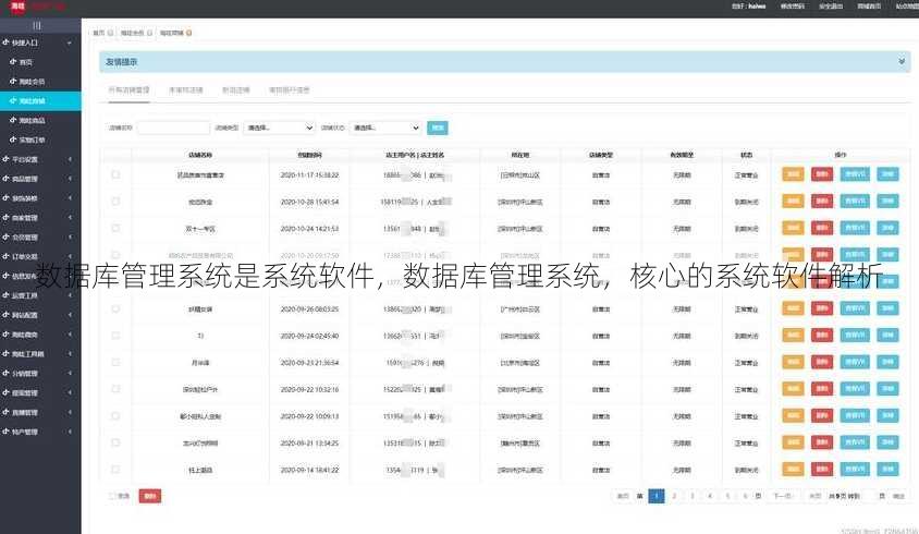 数据库管理系统是系统软件