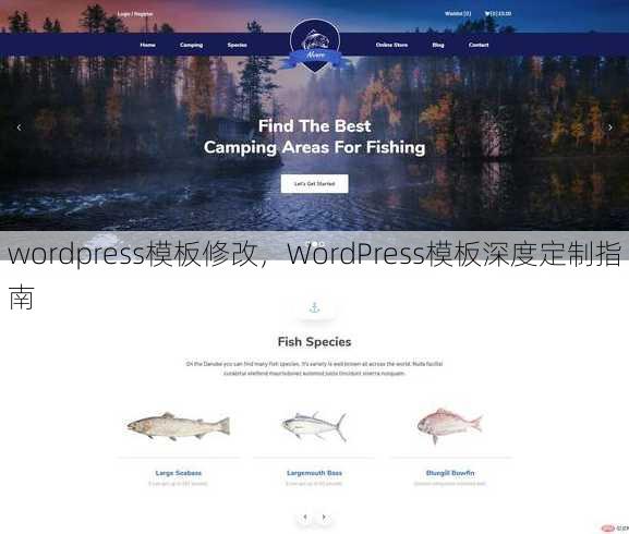 wordpress模板修改