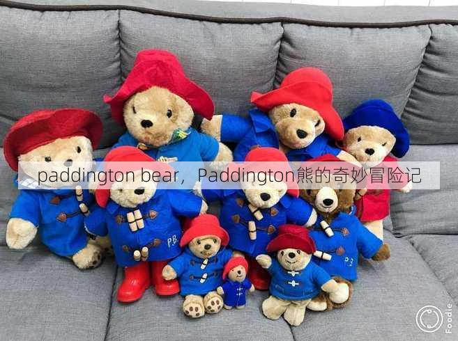 paddington bear